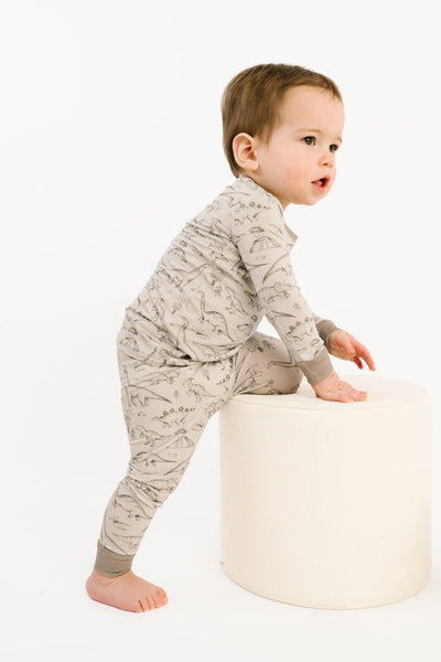 Dino Doodles Bamboo Set
