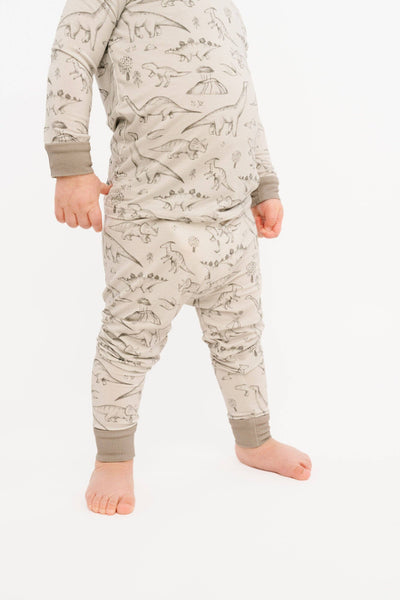 Dino Doodles Bamboo Set
