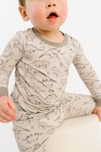 Dino Doodles Bamboo Set