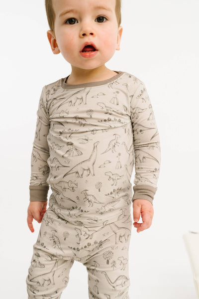 Dino Doodles Bamboo Set