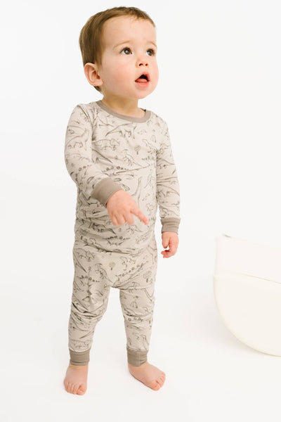 Dino Doodles Bamboo Set
