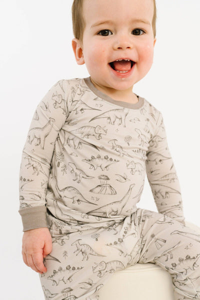 Dino Doodles Bamboo Set