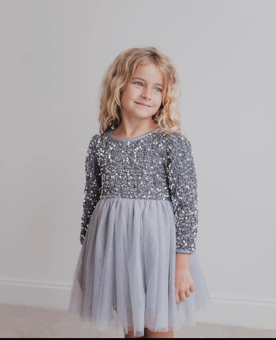 Silver Sequin Tulle Dress